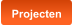 Projecten